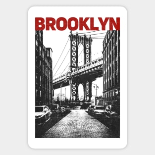 Brooklyn (New York) Magnet